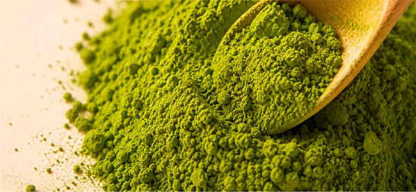 Japanese Matcha