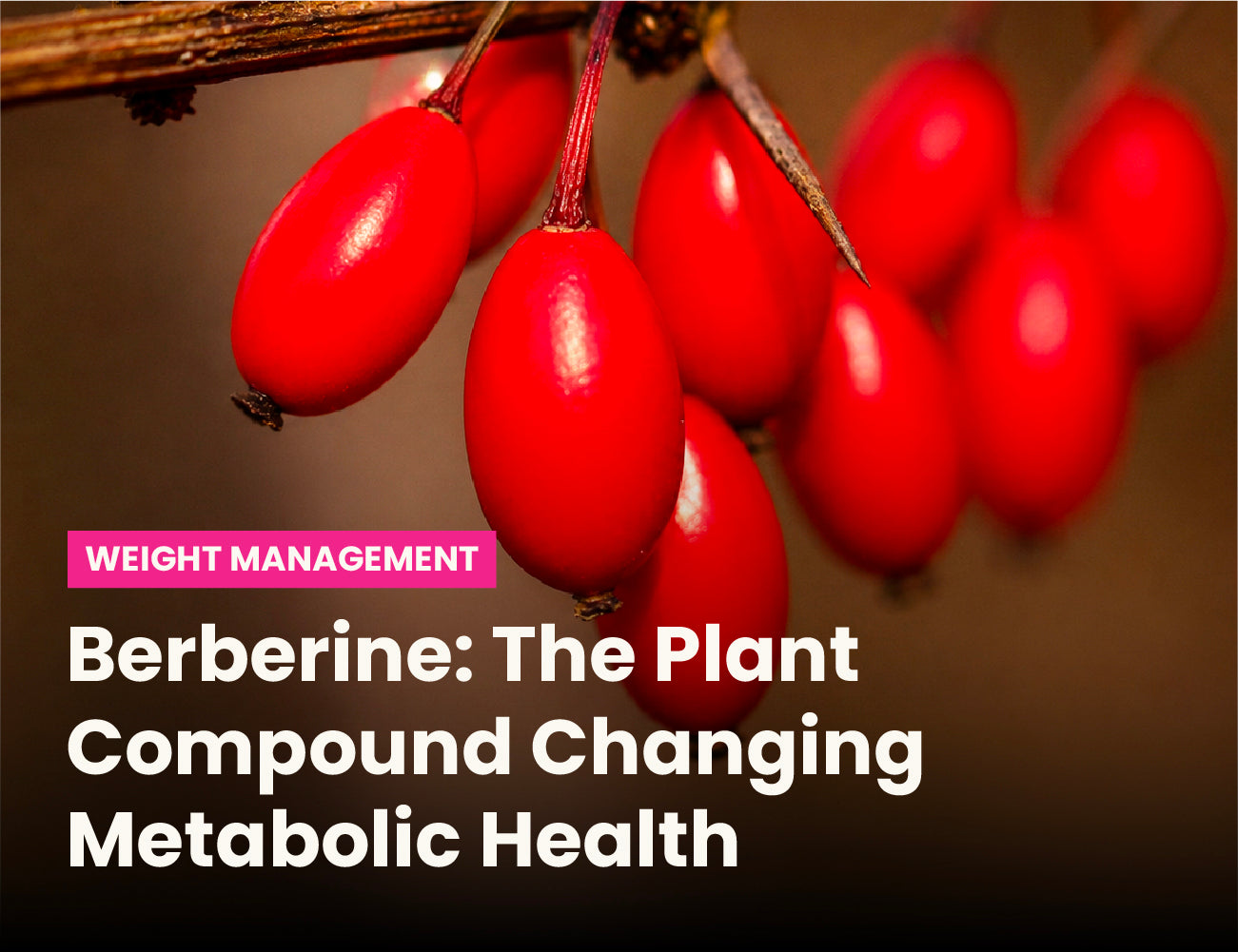 Berberine: The Plant Compound Changing Metabolic Health