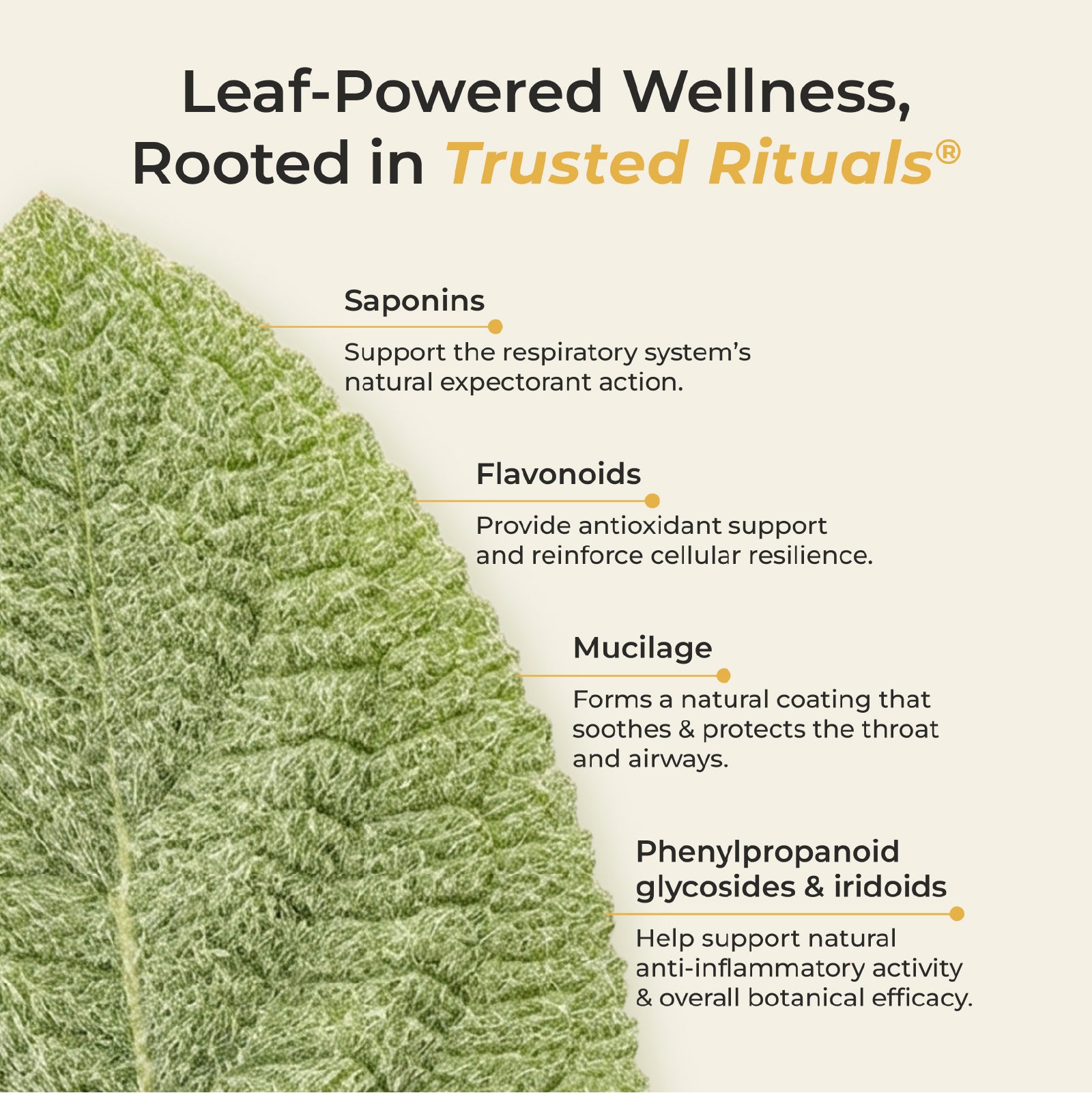 Leaf wellness